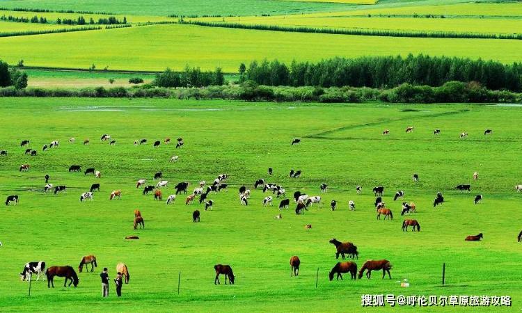 2021年呼伦贝尔大草原旅游必玩景区有什么?