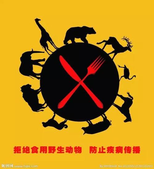 不止是国家重点保护的野生动物禁止食用也要呼吁大家不要食用所有的