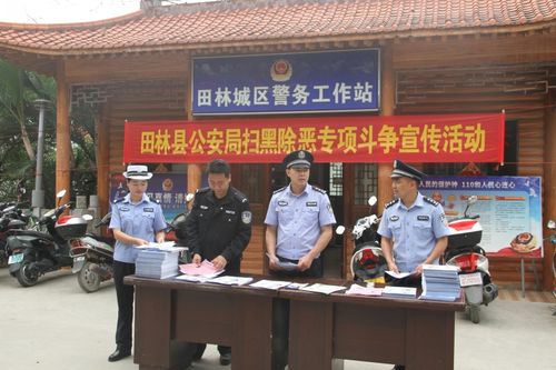 田林县公安局2019年度工作绩效展示