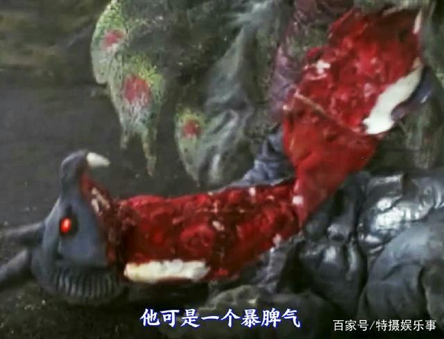 然而穆鲁奇不小心撞到了蛾超兽多拉格利,结果可怕的一幕就发生了.