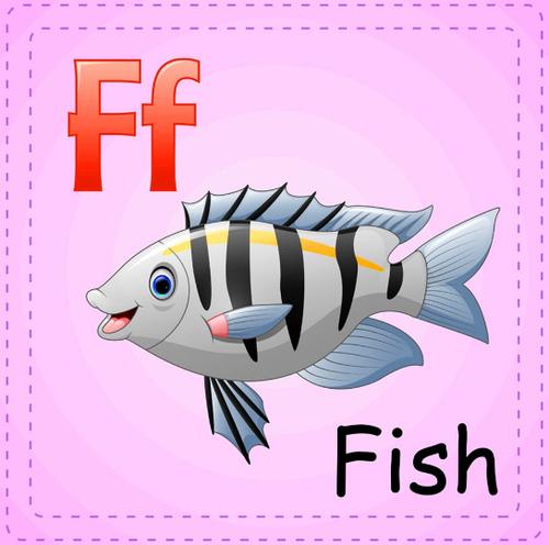 鱼的英语怎么写?