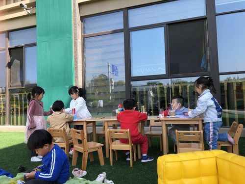 四月阳光下的你们 禾光幼儿园k3b
