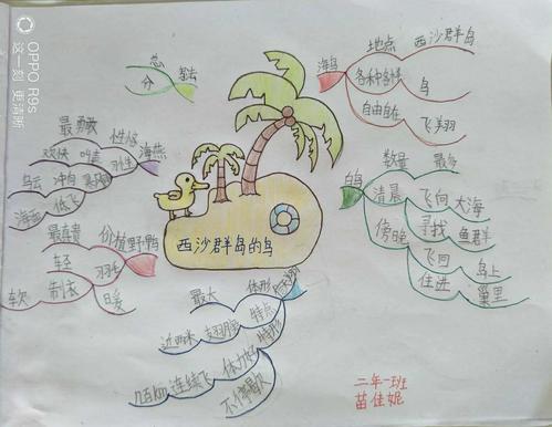 《西沙群岛的鸟》思维导图