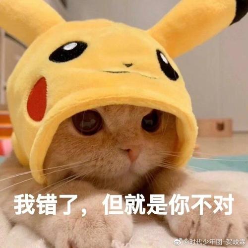 小贺的表情包都好可爱啊