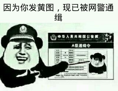 因为你发黄图,现已被网警通缉!