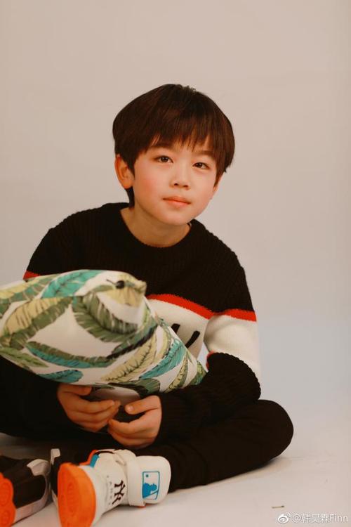 "最红童星"韩昊霖