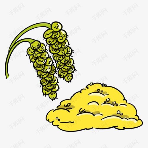 绿色的小米麦穗插画