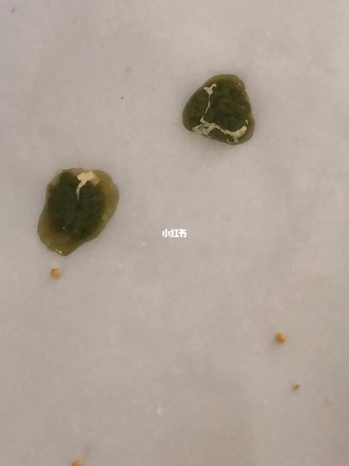 第十三更94玄凤鹦鹉各种拉稀情况参考治疗_肠胃_鹦鹉_炸毛_药山郡