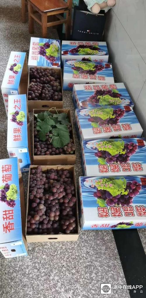 塘雅巨峰葡萄送货上门