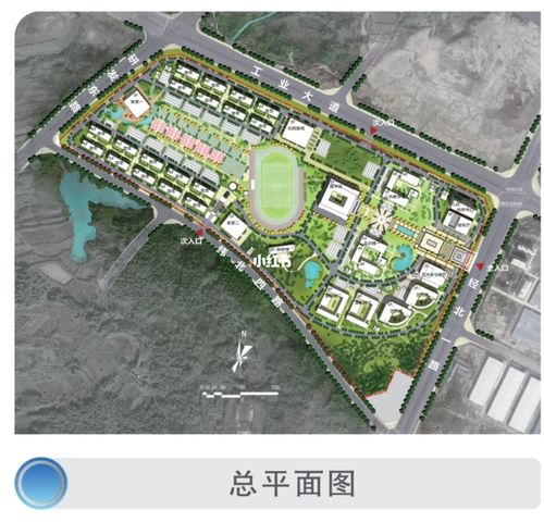 信阳艺术职业学院_艺术_全日制大专_教育_教育其他