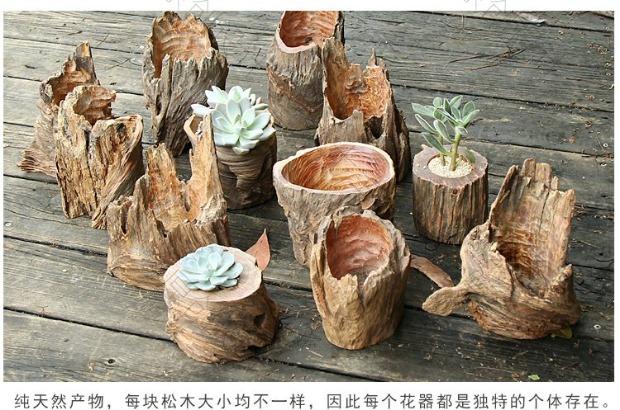 创意多肉枯木造景花盆 老桩实木天然树根防腐小花盆 空气凤梨花盆_7折