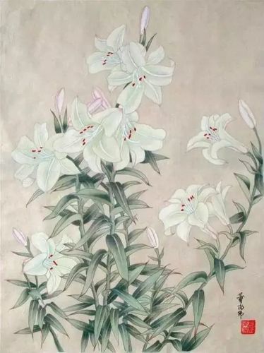 百合,学名(lilium brownii.