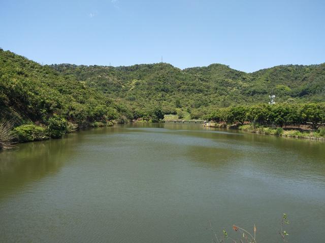 深圳龙华环城绿道九龙山段风景优美,是周末休闲娱乐的好地方