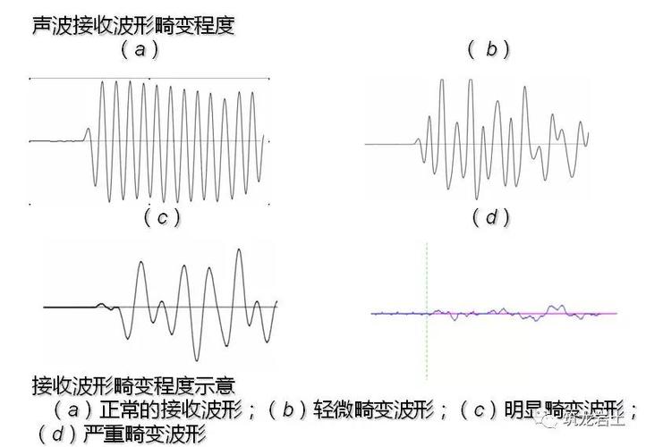 声波透射法桩身完整性检测中综合判定的必要性