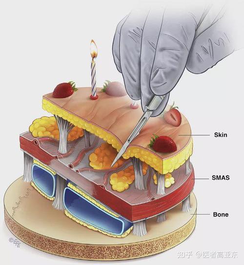 一张图看明白面部皮肤的五个层次