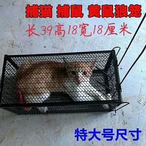 野鸡笼捕鼠器 老鼠抓捉猫家用黄鼠狼笼器 捕猫笼 捕狗笼 兔笼工具