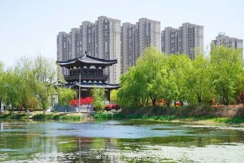春游江淮请您来|宿州泗县～有处清水湾公园