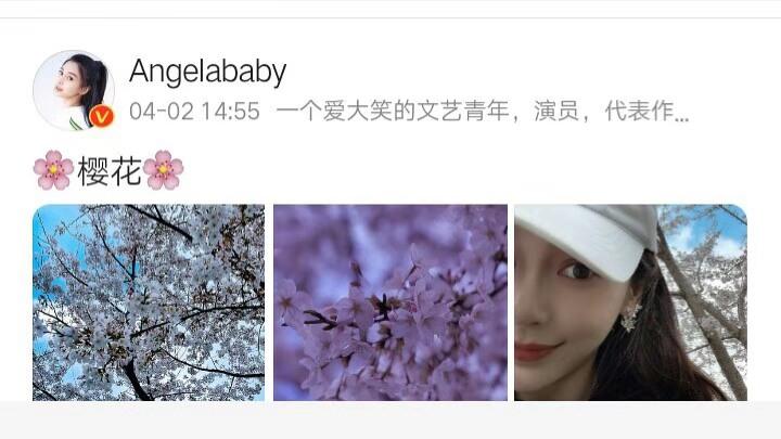 angelababy晒樱花自拍杨家将没想到杨颖的春天如此精彩