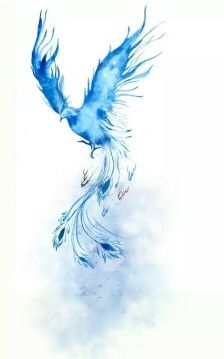凤凰于飞 水彩 梦幻 唯美 神鸟