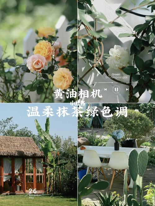 摄影调色|冬日暖阳95ins温柔抹茶绿色调_滤镜_抹茶