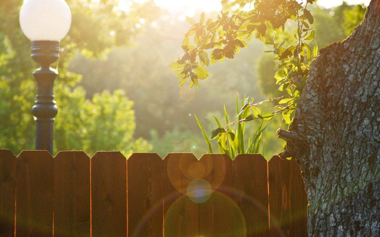 精选清晨唯美风景图片桌面壁纸高清大图预览1920x1200