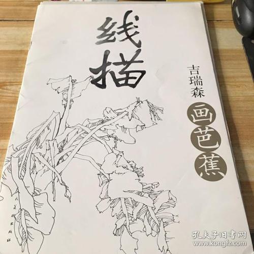 线描:吉瑞森画芭蕉16架一1