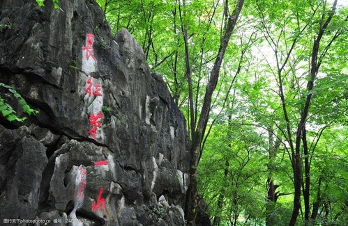 关键词:瑞金云石山 背景 云石山 长征第一山 风景      摄影 旅游摄影