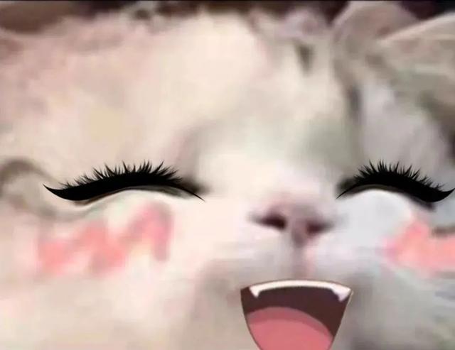 偷看你洗澡|动图表情包