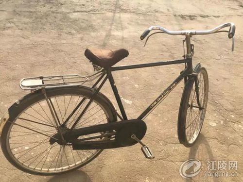(汤立中 供图) 当时乘坐的交通工具为汽车 (汤立中 供图)