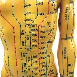 高弹力透气护腰带 腰围腰部腰托腰封保护腰带钢板朔身