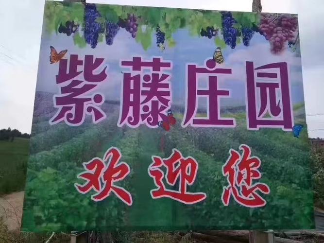 紫藤庄园仙境游