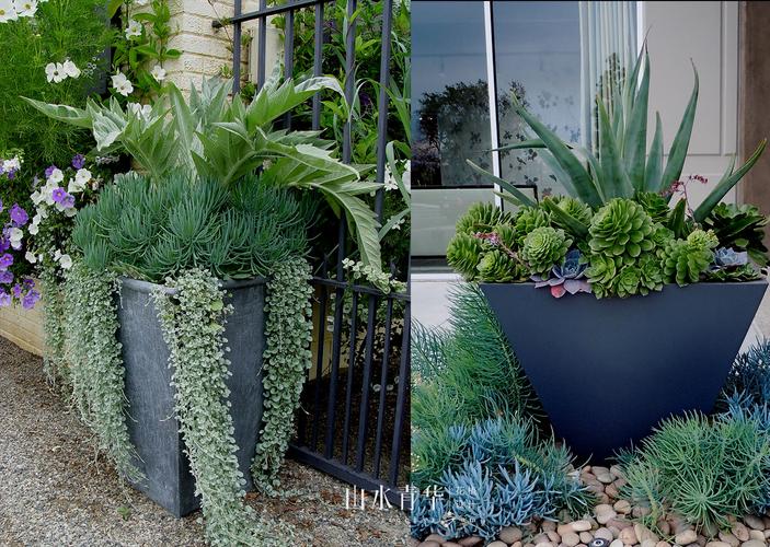 深圳户外景观/大型盆栽盆景/盆景设计/花园阳台/酒店会所/楼盘-深圳