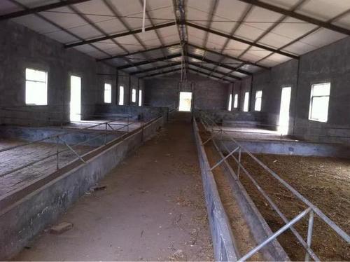 养羊需要多大场地?以100只羊计算和设计附图