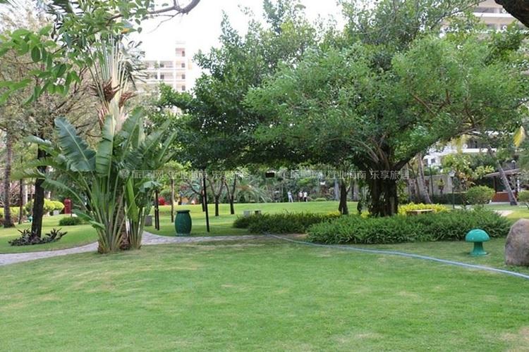玉海国际度假公寓小区园林绿化实景