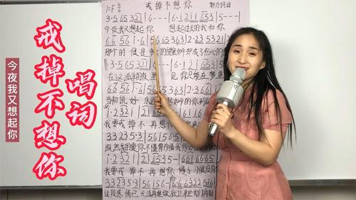 靳东一曲民谣情歌《戒掉不想你》歌词教唱,伤感催泪,句句穿心