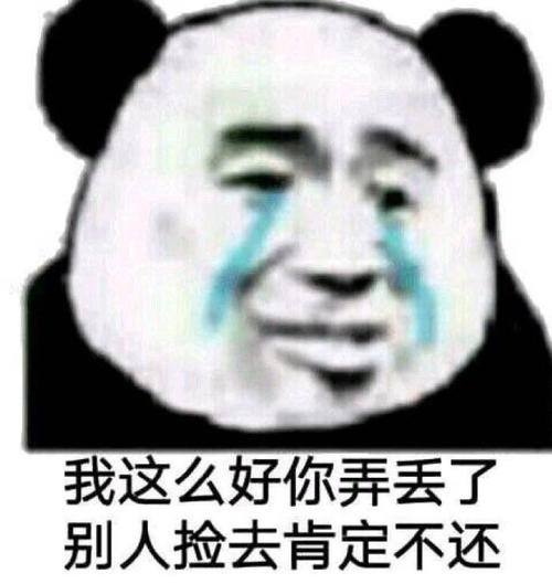 熊猫头表情包我这么好你弄丢了别人捡去肯定不还