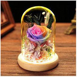 迪龙自生草情人节永生花玫瑰玻璃罩礼盒装饰摆件情人节礼物生日创意