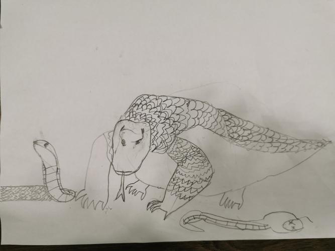 我画的科莫多巨蜥