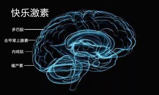 运动发生多巴胺会让人快乐吗?