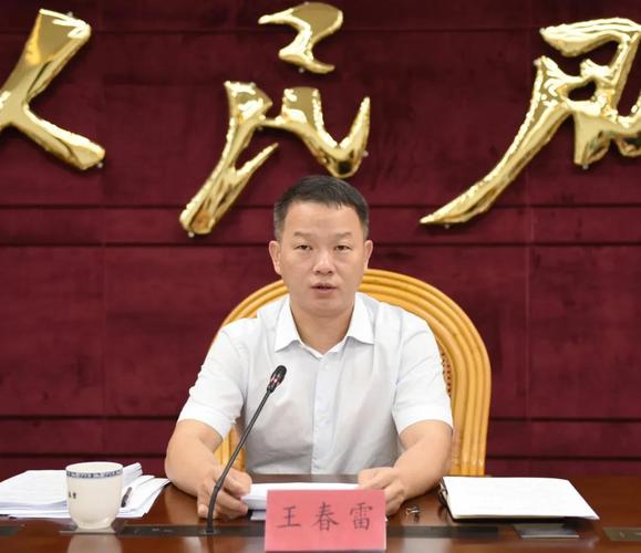 县委书记王春雷指出