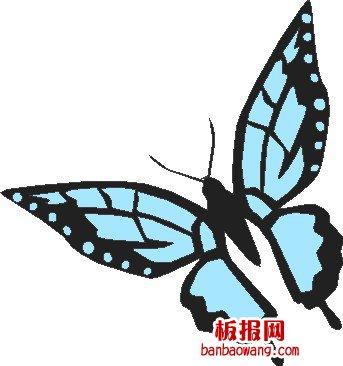 板报网今天就带来一只蓝色蝴蝶,喜欢的朋友就画下来吧.