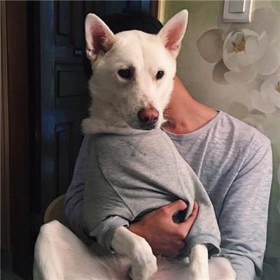 男生抱猫抱狗帅气暖心头像2018精选 爱你所以离开你眼泪是回忆