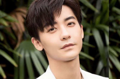 七日飙升的95后男明星十强,吴磊榜首,王一博榜眼,李宏毅探花!