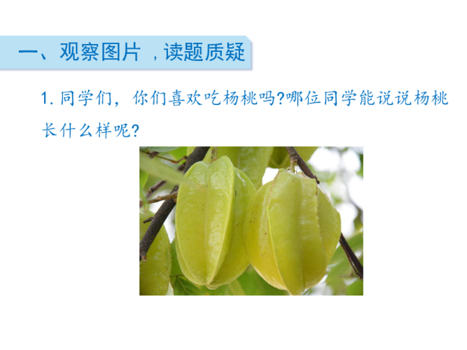 哪位同学能说说杨桃长什么样呢?2.