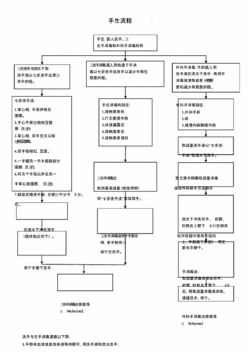 手卫生流程图课件.doc