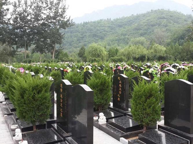 文章-宁波市北仑区东凤凰墓园