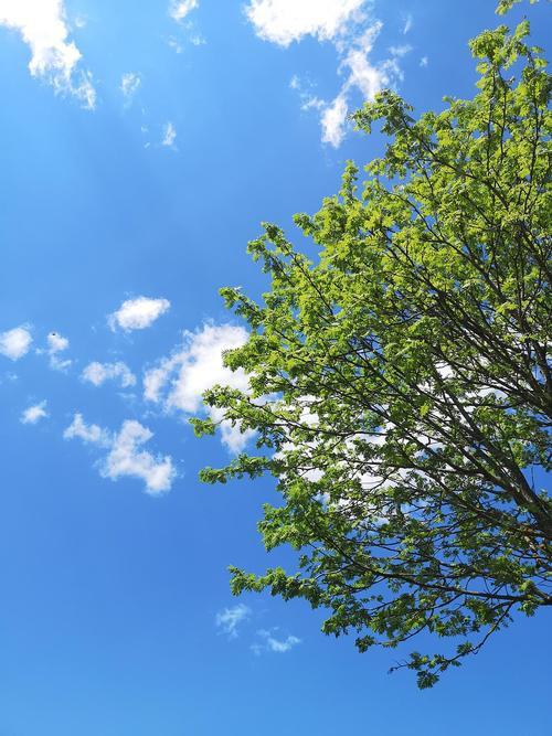 背景 壁纸 风景 天空 桌面 500_667 竖版 竖屏 手机