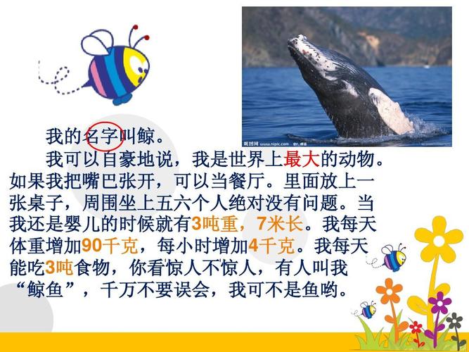 苏教版语文三年级上册习作5 动物名片(精)ppt