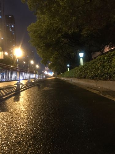 day19,雨夜,孤独的跑着