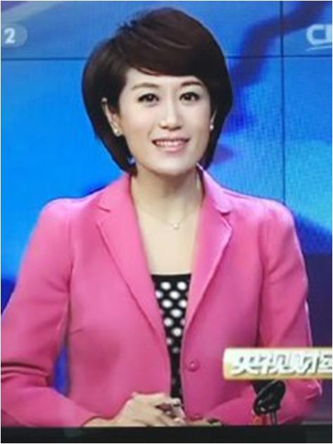 央视主持人沈竹个人集
